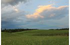 Property photo 107 - REAL ESTATE AUCTION, 163+/- Acres offered in 8 Tracts